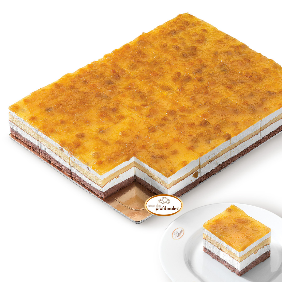 Plancha_GD_Mango_corte_cuadrado.jpg